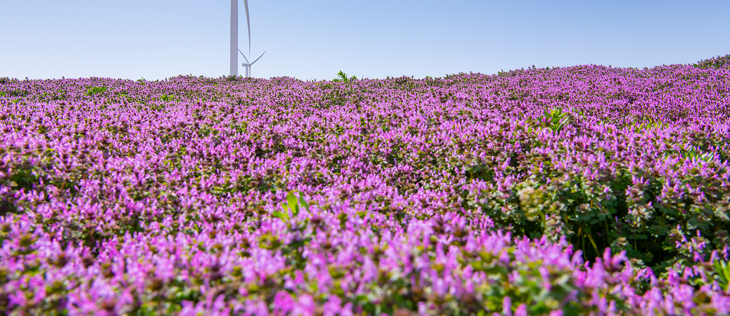 Sustainability-report
