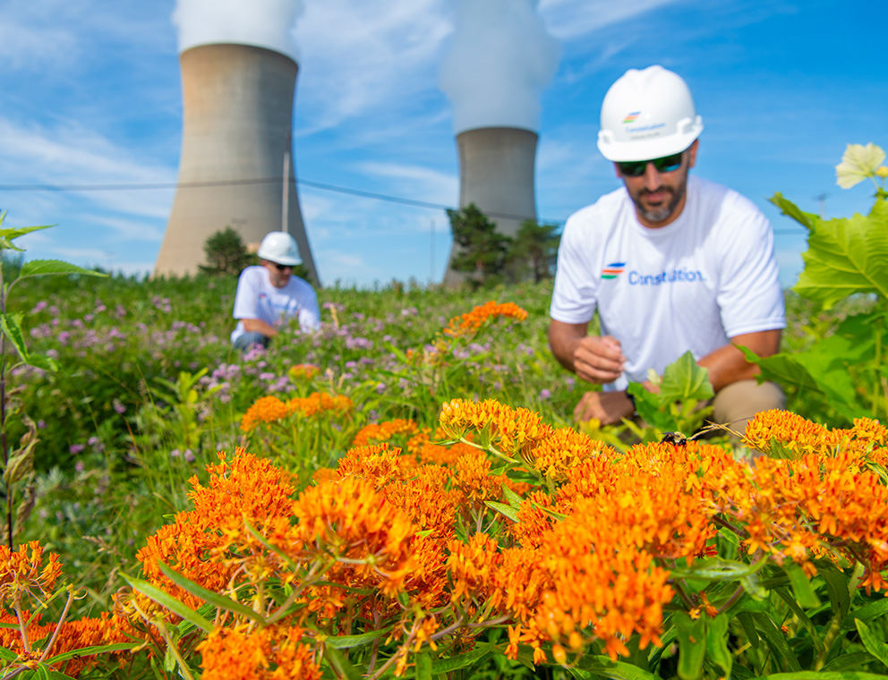 Employees take time to preserve biodiversity outside of the company’s Limerick Clean Energy Center